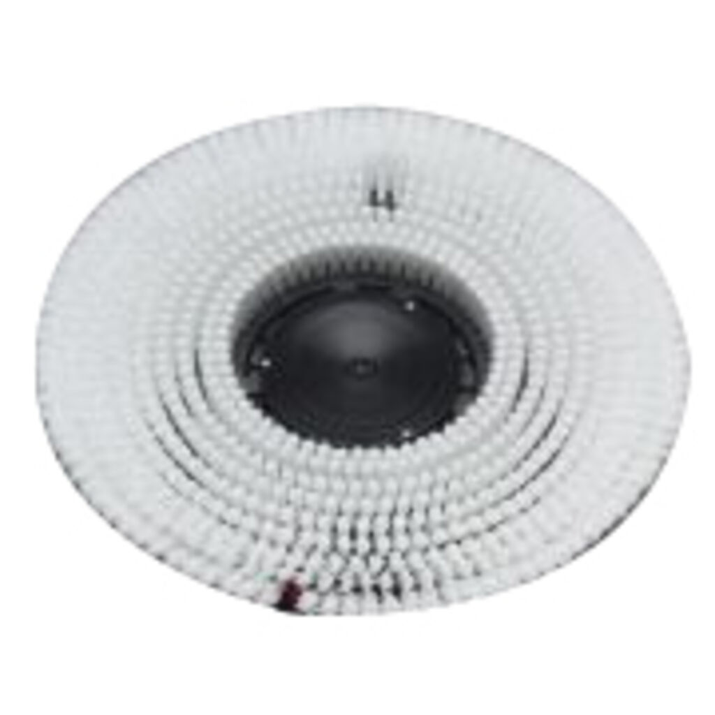TASKI Cepillo Fregado Estándar (Nylon) 1pc